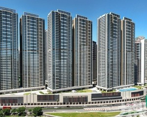 置換房申請人明年1月底前須完成購買手續