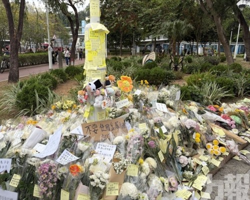 網民盛讚：真男人