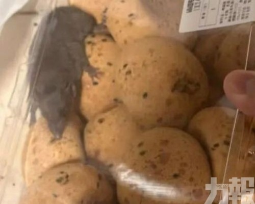 山姆致歉：疑取貨點遭野生鼠侵入