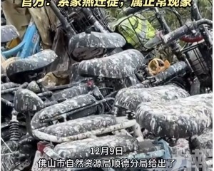 官方：家燕遷徙屬正常現象