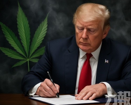 美國大麻概念股集體飆升