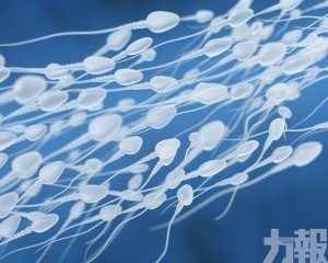 捐贈者致癌基因擴散14國近200人