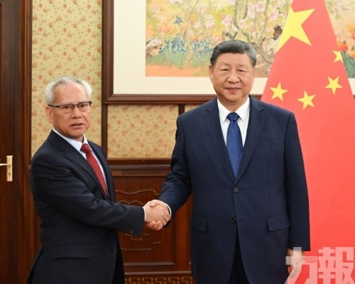 習近平聽取岑浩輝述職報告