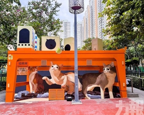 持續改善社區環境衛生