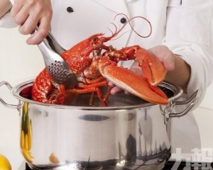 ​英國發佈新規擬禁活煮龍蝦