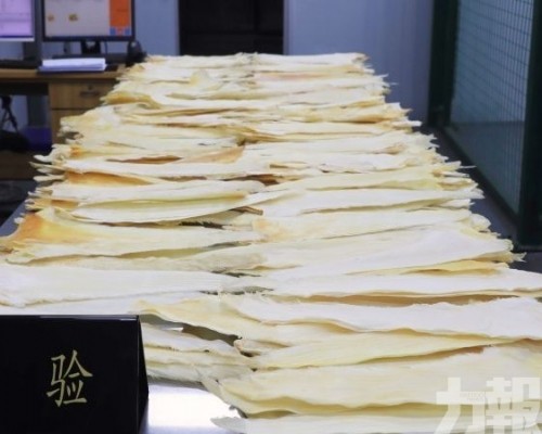 灣仔海關查獲瀕危物種製品
