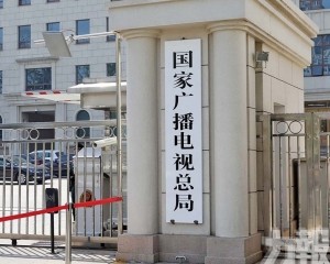 嚴打低俗改編與侵權亂象