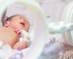 每名幼兒最高可領3,600元