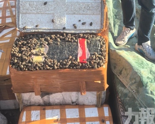 珠海警查獲涉嫌走私貨物案