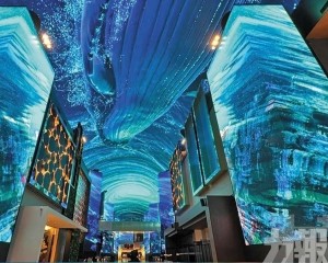 淨虧損明顯收窄