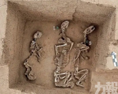 證實3,000年前已有馴養體系