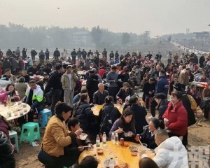 文旅局嘆：努力一年不如兩頭豬