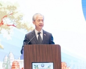 駐柬大使促嚴打網絡詐騙