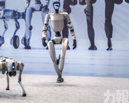 7月啟動首輪評價