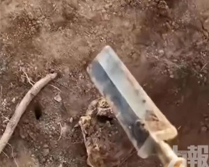 網：國寶文物只值這個錢？