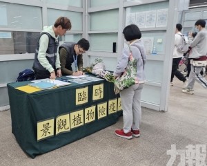 市政署在關閘口岸設臨時景觀植物檢疫站