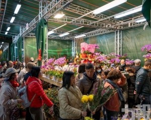 市政署辦多項傳統應節活動賀歲迎新