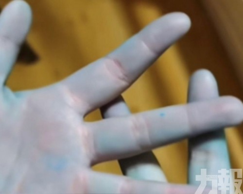 網民食用自製「牛癟火鍋」雙手變藍