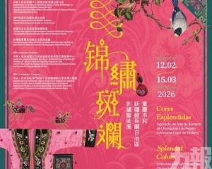 精湛非遺技藝綻民族之美