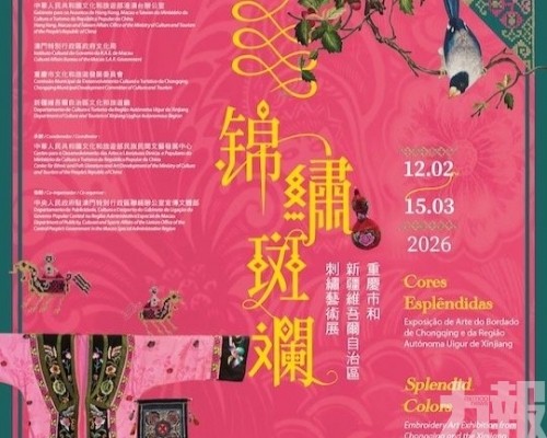 精湛非遺技藝綻民族之美