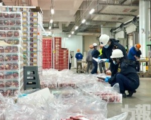 18艘快線累計進口逾9200櫃