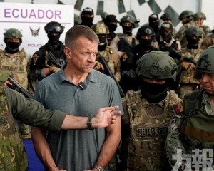 目標劍指戰略礦產