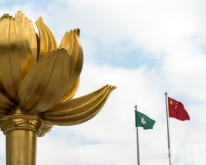 濠江滿春暉 躍馬啟新程