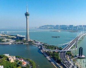 騏驥爭先奮蹄疾 聚力揚帆啟新程