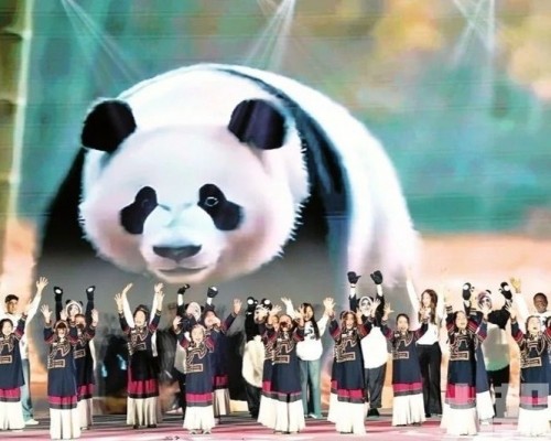 成都進出口創新高