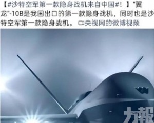 翼龍10B落戶沙特