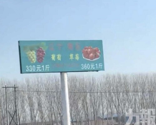 遼寧農企稱主打無農藥高端水果