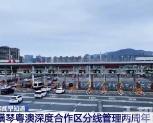 進出口貨值近700億元年均增逾三成