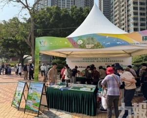 推廣紅樹林生態保護