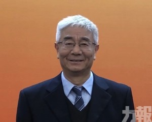 專家倡大灣區打造產業新生態