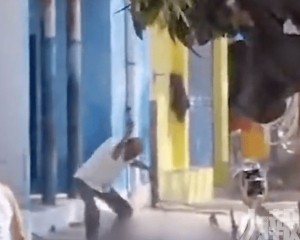 啃食死者腦部吸血