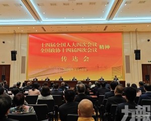 鄭新聰提三意見落實兩會精神
