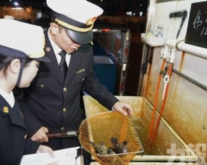 供港穩增並拓東盟市場