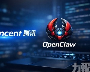 「養龍蝦」熱潮持續升溫