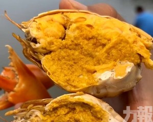 珠海斗門2,000畝基地蟹苗春投