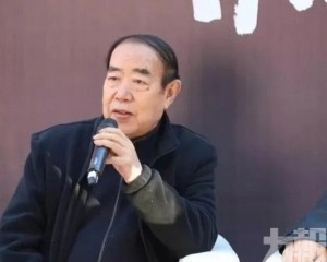 賈平凹蔣方舟等人陷抄襲爭議