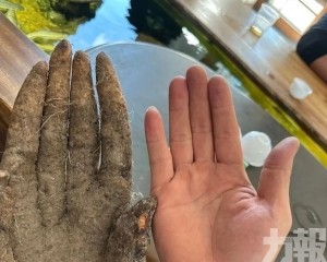 有人出價8,000元求購遭拒