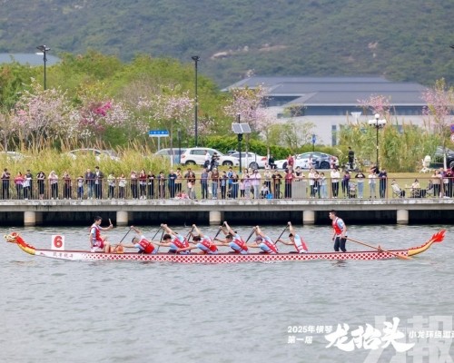 ​橫琴「龍抬頭」小龍賽今起揚槳開賽