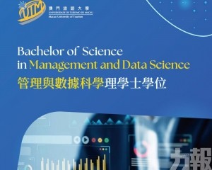 旅遊大學增管理與數據科學理學士學位課程