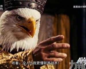 「動物江湖」敘事引發熱議