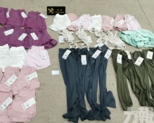 藏匿41件品牌衣物入境被查