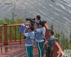 灣區青少年共倡生態保護