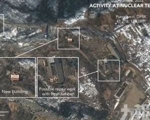 近四分之一現染色體異常