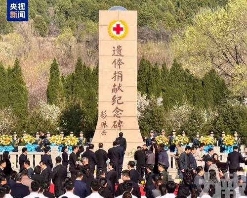 器捐志願登記人數逾733萬人