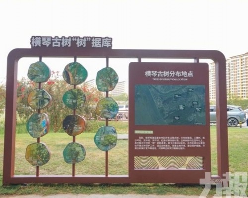 全年生態主題活動持續接力