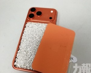 合共49公斤 市值約88萬元